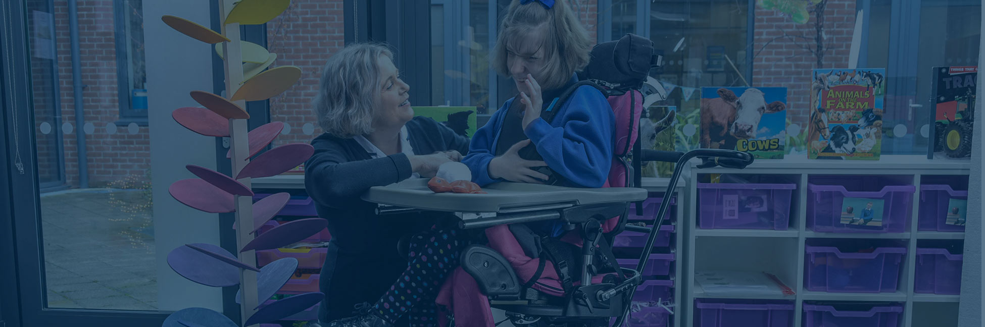 Opciones y accesorios - 2