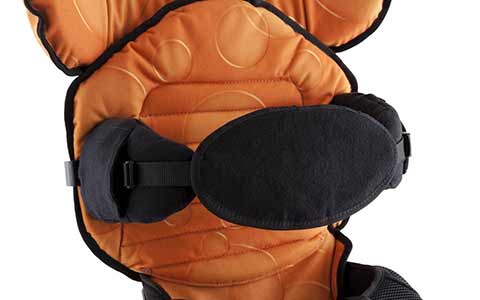 Suporte de tronco e cabeça