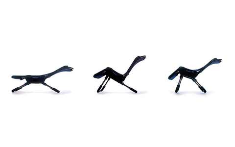 Soporte y seguridad durante el baño