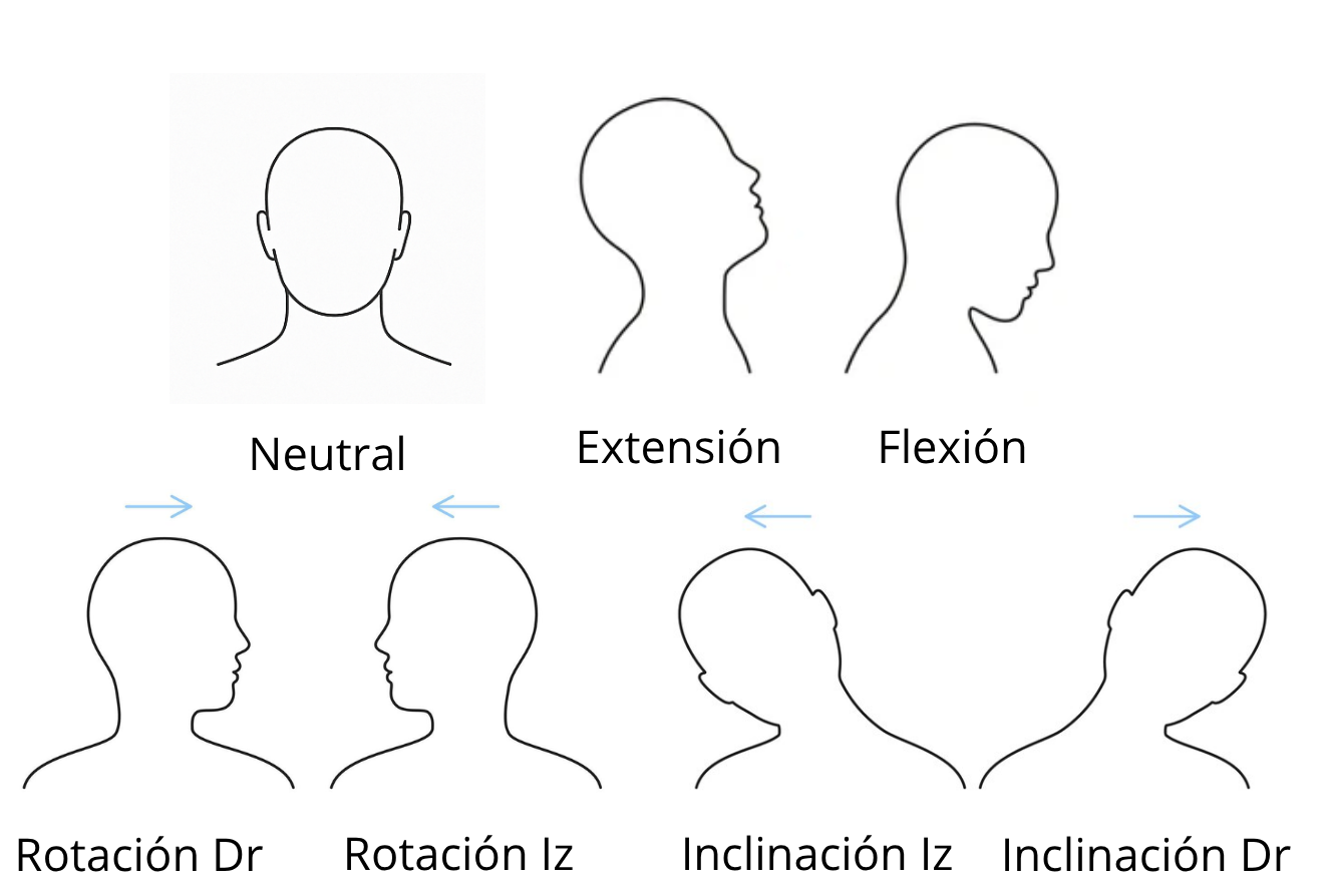 Cabeza y cuello