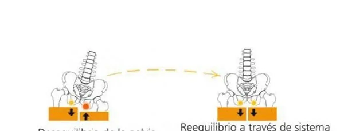 Importância de um bom sistema postural