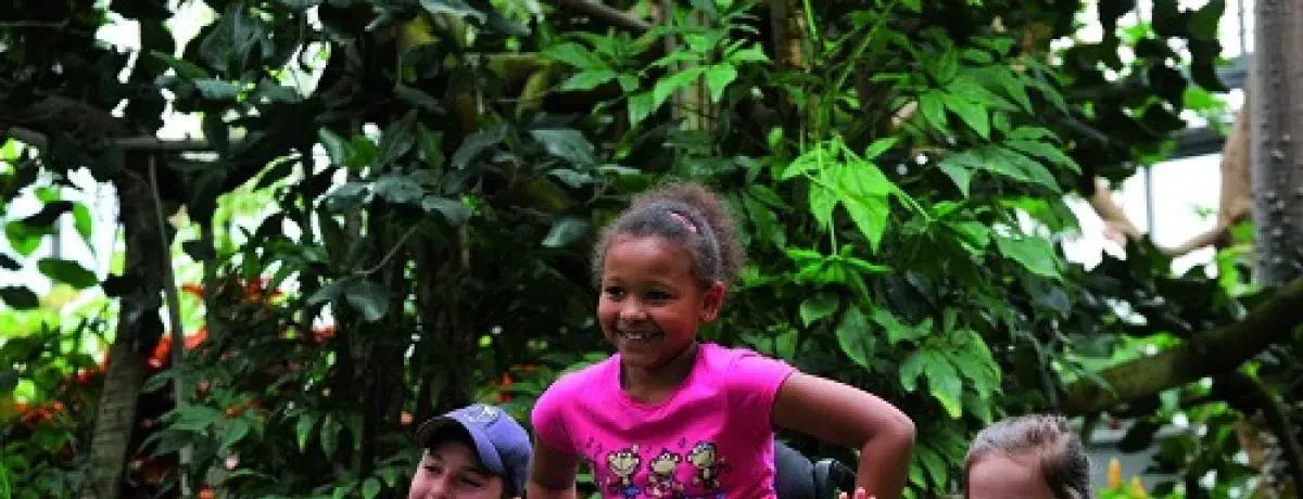 Actividades para niños en sillas de ruedas