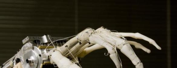 Biomedical Engineering and the Future of Spinal Cord Injuries