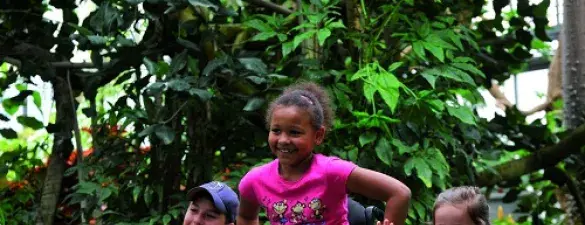 Actividades para niños en sillas de ruedas